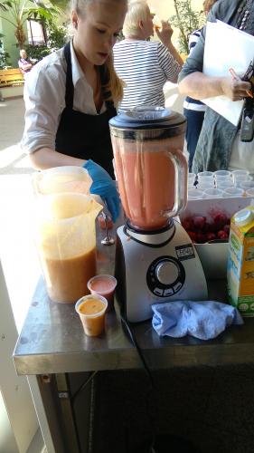 blender - 1,6 liter